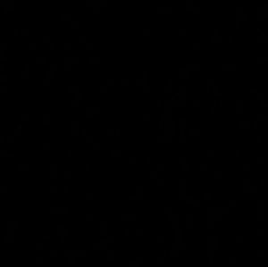 Meet your Posher, Kennedy